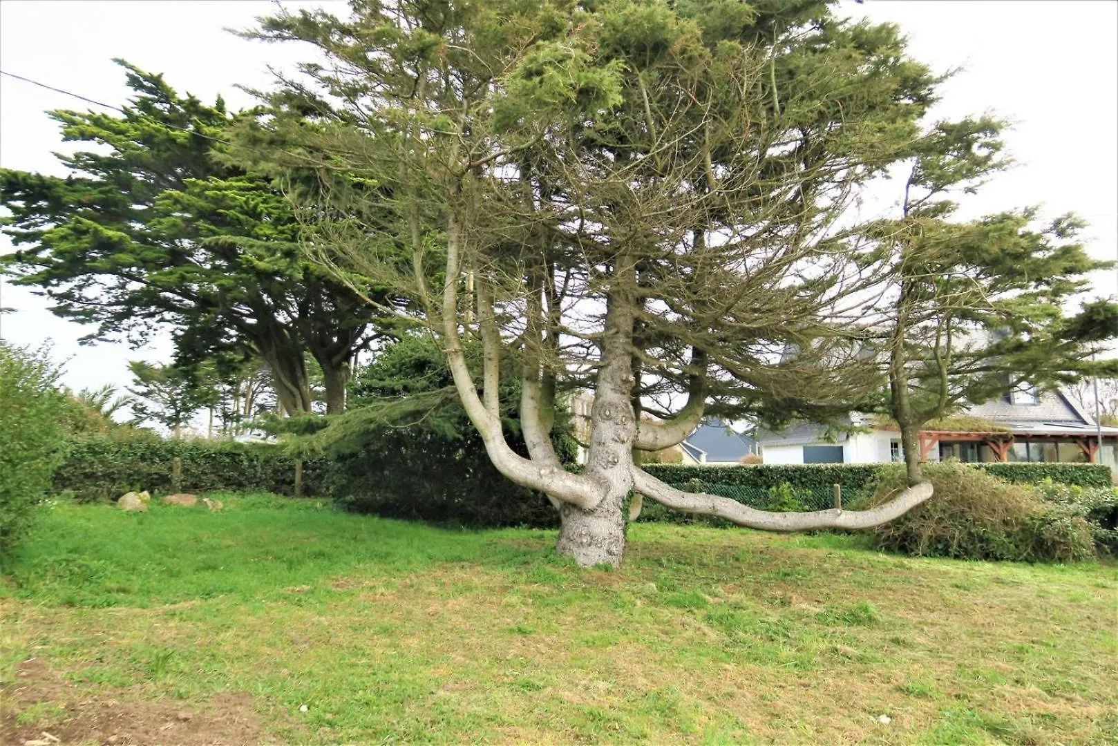 Maison Vue Mer Avec Jardin A 800M De La Plage A Trebeurden Ref-683