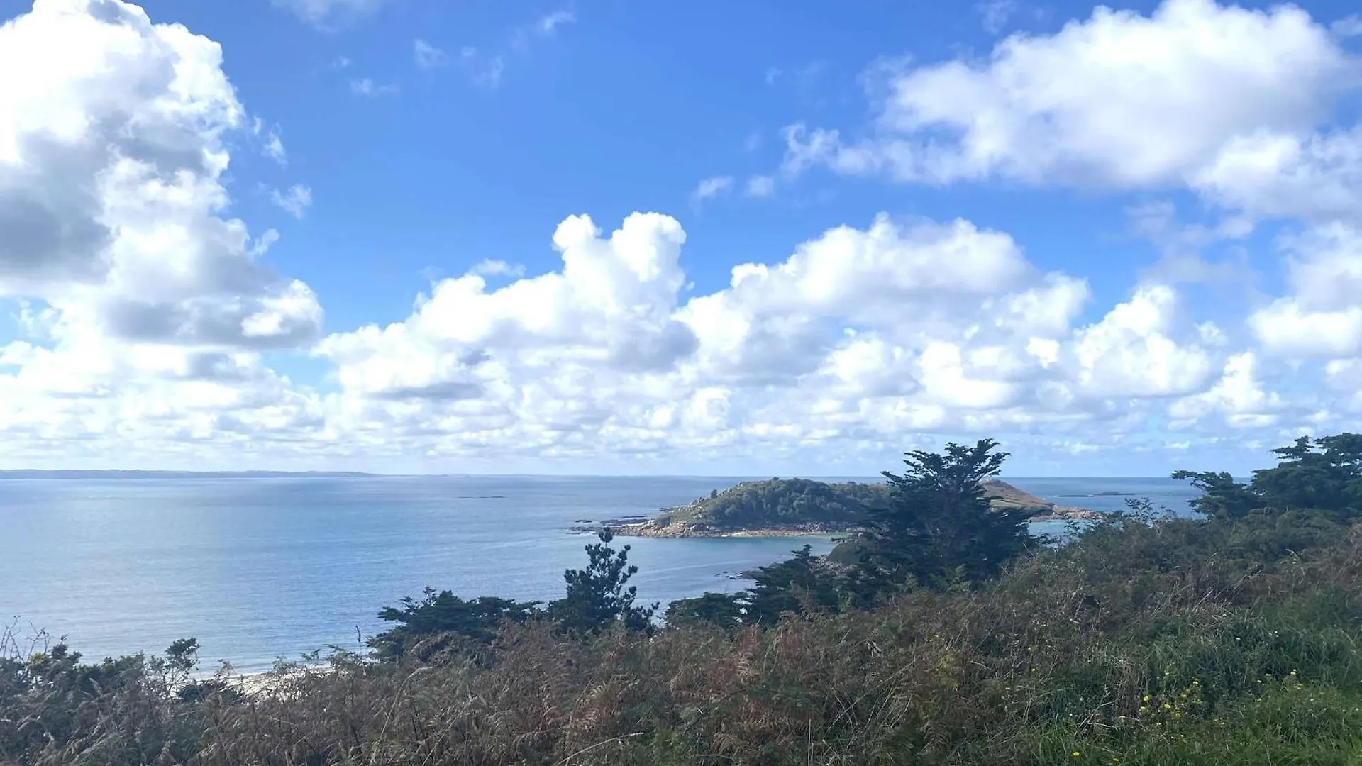 Maison Vue Mer Avec Jardin A 800M De La Plage A Trebeurden Ref-683